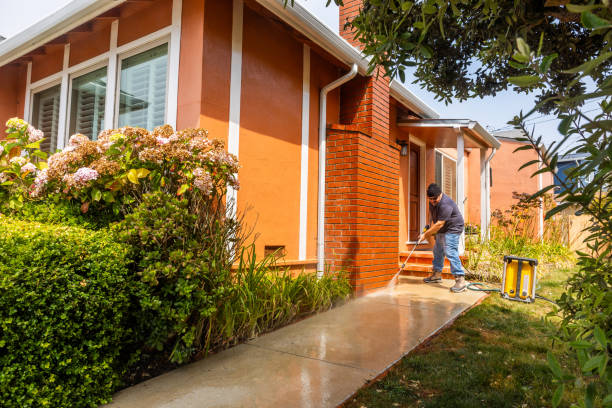Best Exterior Home Cleaning  in Dakota City, NE