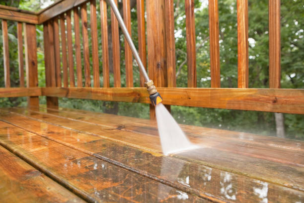 Best Sidewalk Pressure Washing  in Dakota City, NE