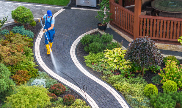 Best Local Pressure Washing Services  in Dakota City, NE